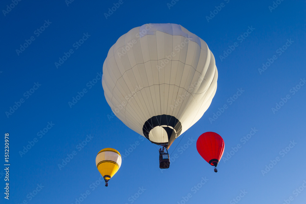 Naklejka premium Hot air balloon