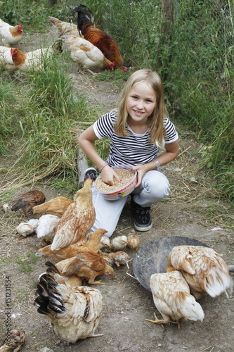 enfant qui nourrit ses coqs, poules et poussins au grain dans leur poulailler.