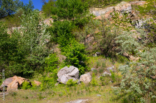 Summer landscape with rocks and trees