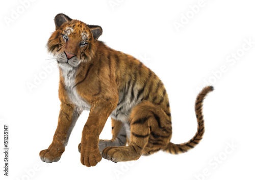 Fototapeta Naklejka Na Ścianę i Meble -  3D Rendering Big Cat Tiger on White