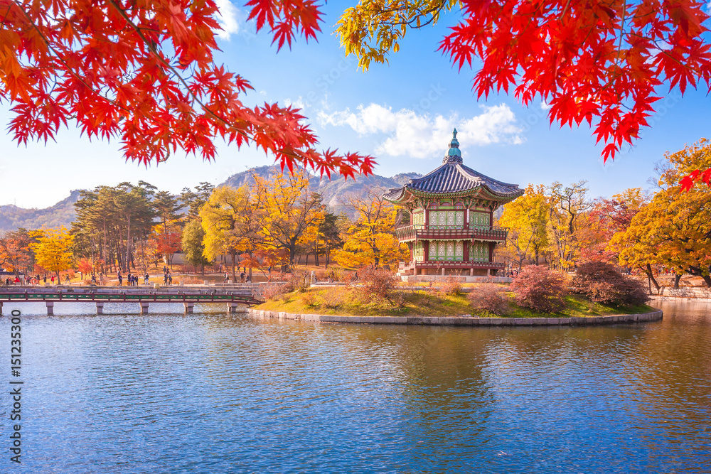 Fotografering, Billede Gyeongbokgung palace with Maple leaves, Seoul, South  Korea. på Europosters.dk