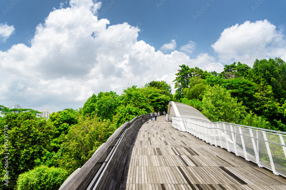 Fototapeta premium Beautiful view of amazing bridge imitating a wave, Singapore