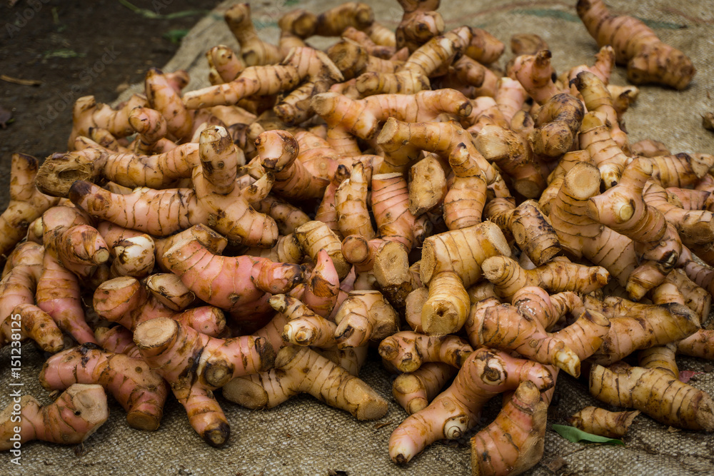 Pile of galangal as one of traditional tropical spices photo taken in Bogor traditional market Pile of galangal as one of traditional tropical spices photo taken in Bogor traditional market