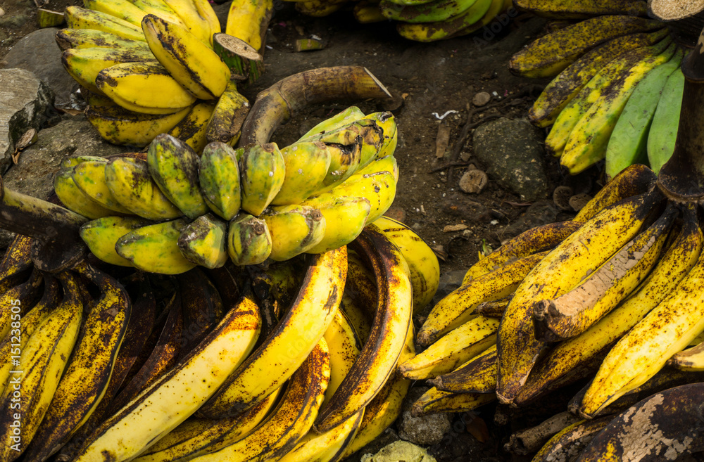 ripe plantains banana with yellow colour on sale in Bogor traditional