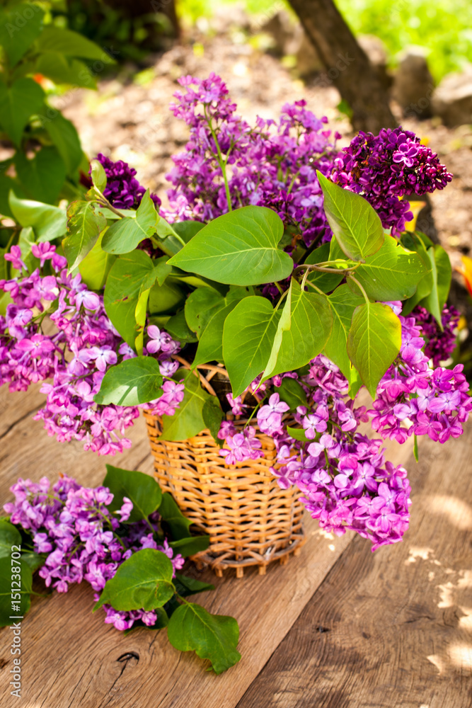 Fototapeta premium Still life with lilac