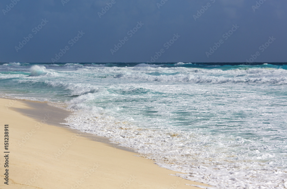 Beautiful view on the beach. The shore of the Caribbean sea. Vacation concept image.