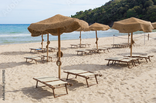 Parasols on a beach in the afternoon