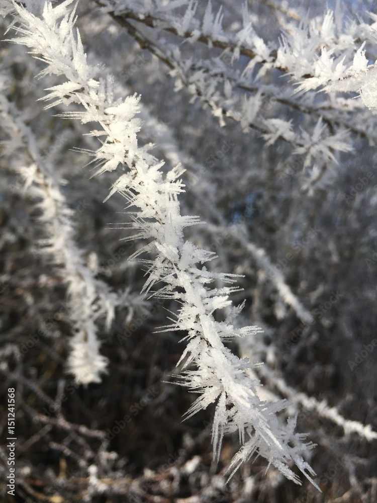 Winterzauber Winterzauber