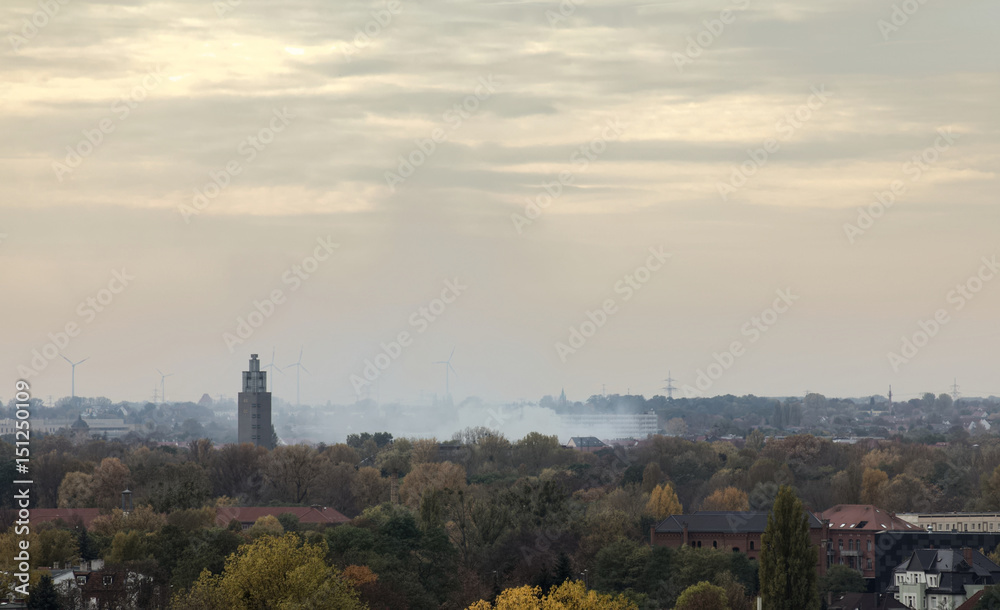 Overview of Rotehornpark in Magdeburg, Saxony-Anhalt, Germany, in November