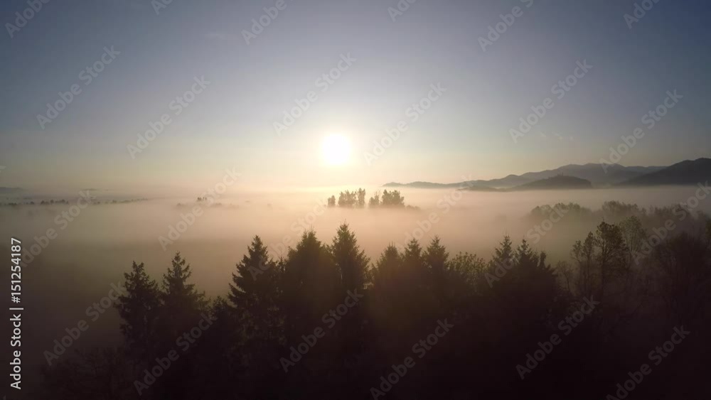 4K: Aerial Sun rising over misty marsh