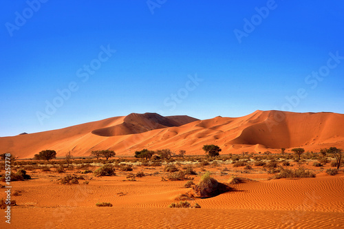 Die roten Dünen von Sossusvlei in Namibia
