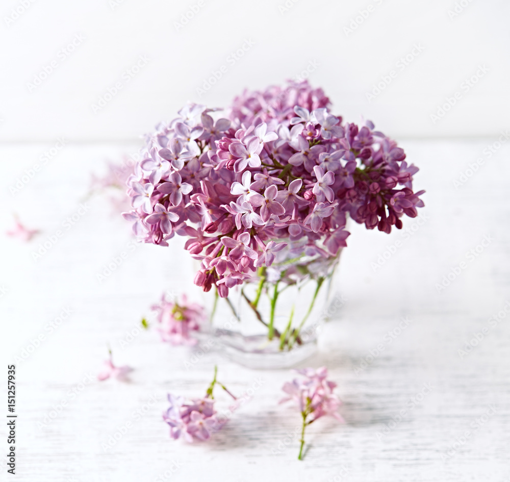 Obraz premium Spring Lilac in a Glass