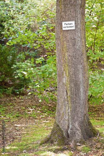 Kleines weisses Schild - Parken verboten - an einem Baumstamm