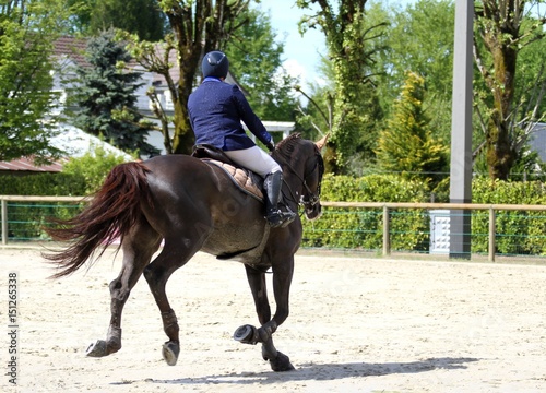 concours hippique,saut d'obstacles