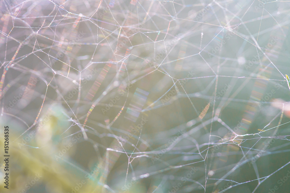 Abstract fibres in close-up. Web