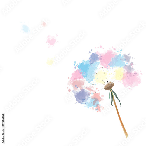 Fototapeta Naklejka Na Ścianę i Meble -  Dandelions flower, watercolor style, illustration vector. 