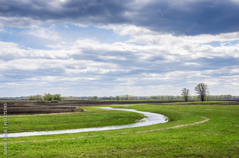 Spring field with puddles of melted water / Photographed in Russia, in the Orenburg region in Saraktashsky District