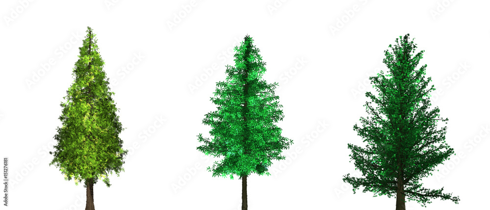 Fresh green trees isolated on white background. Fresh green trees isolated on white background.