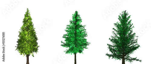 Fresh green trees isolated on white background.