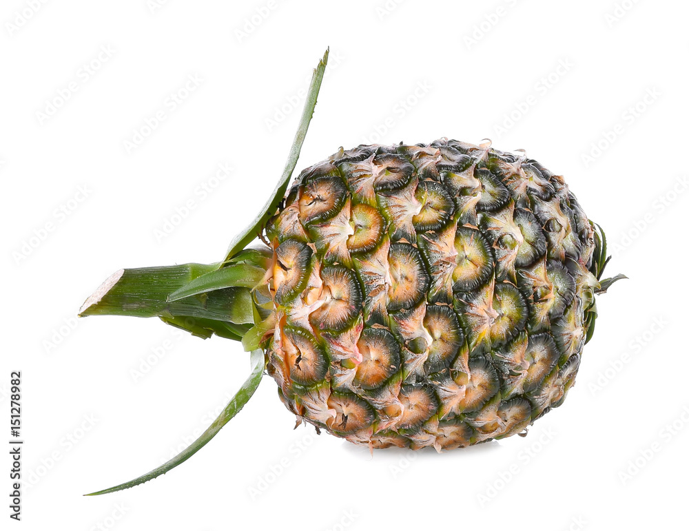 Pineapple Pineapple