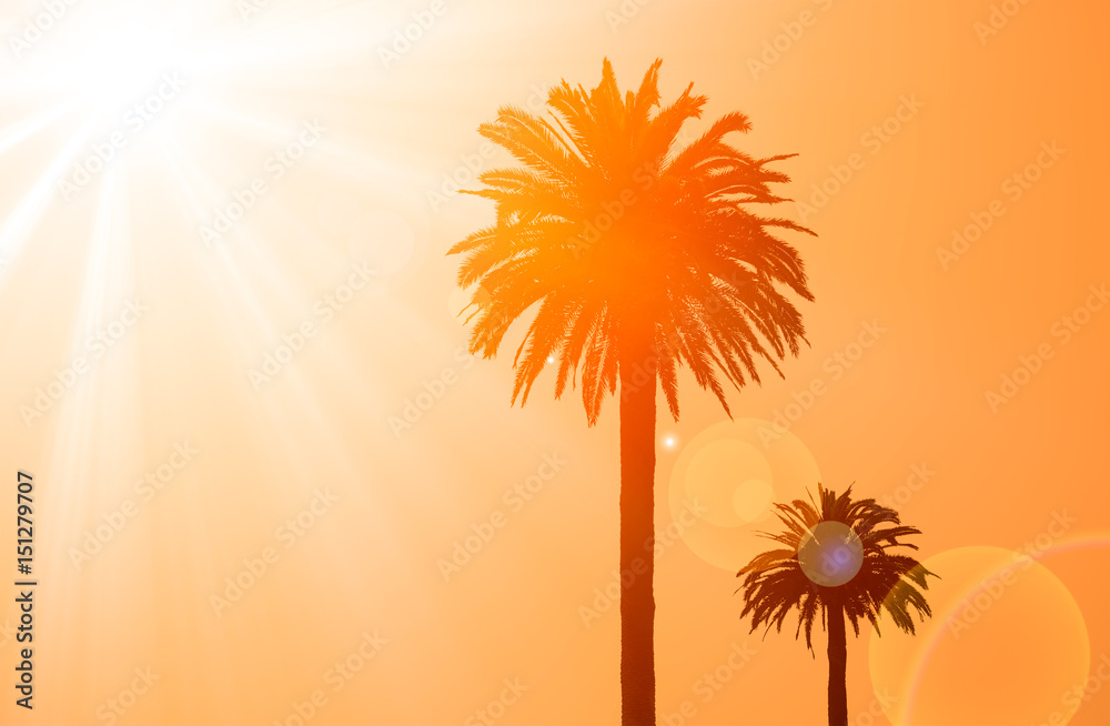 Silhouette of two palm trees with sun on the background