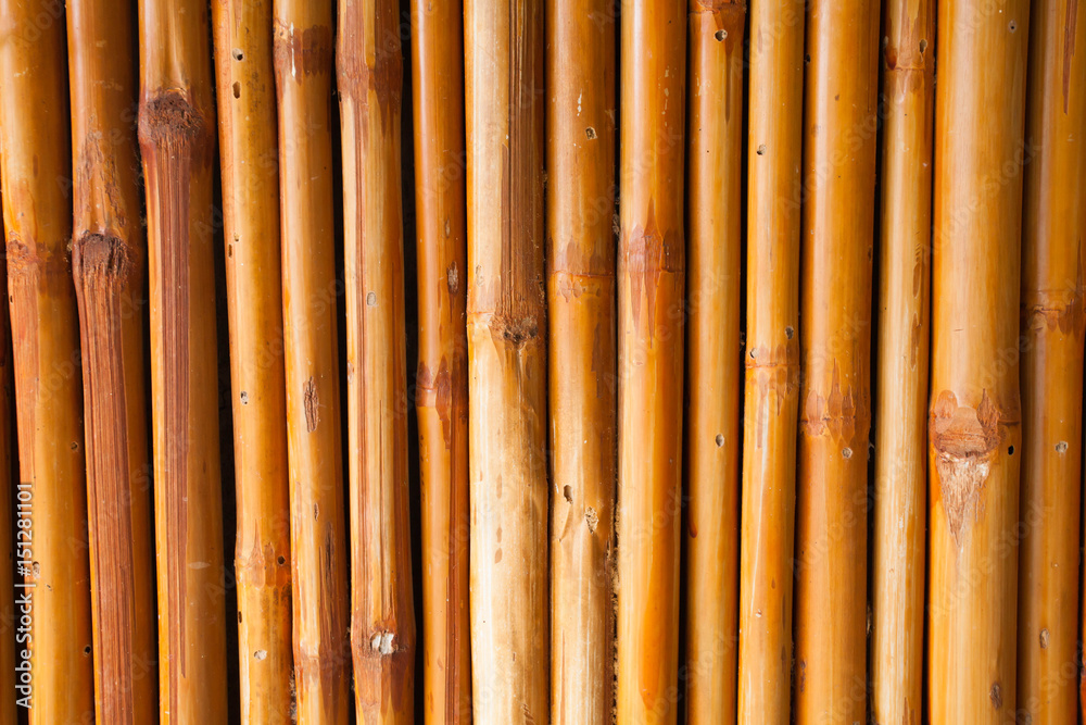 Orange brick walkway for Background Orange brick walkway for Background