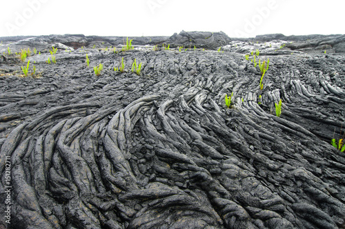 Lava fiels