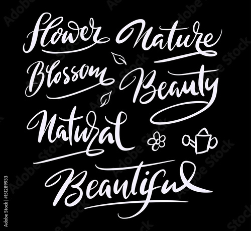 Nature and blossom flower hand written typography. Good use for logotype  symbol  cover label  product  brand  poster title or any graphic design you want. Easy to use or change color