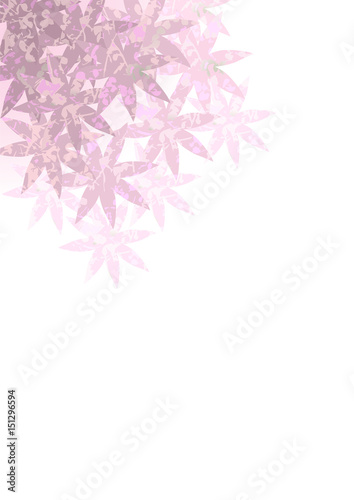 pink flowar background photo