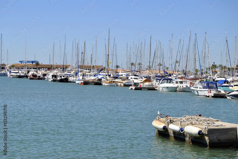 Segelboothafen Palma