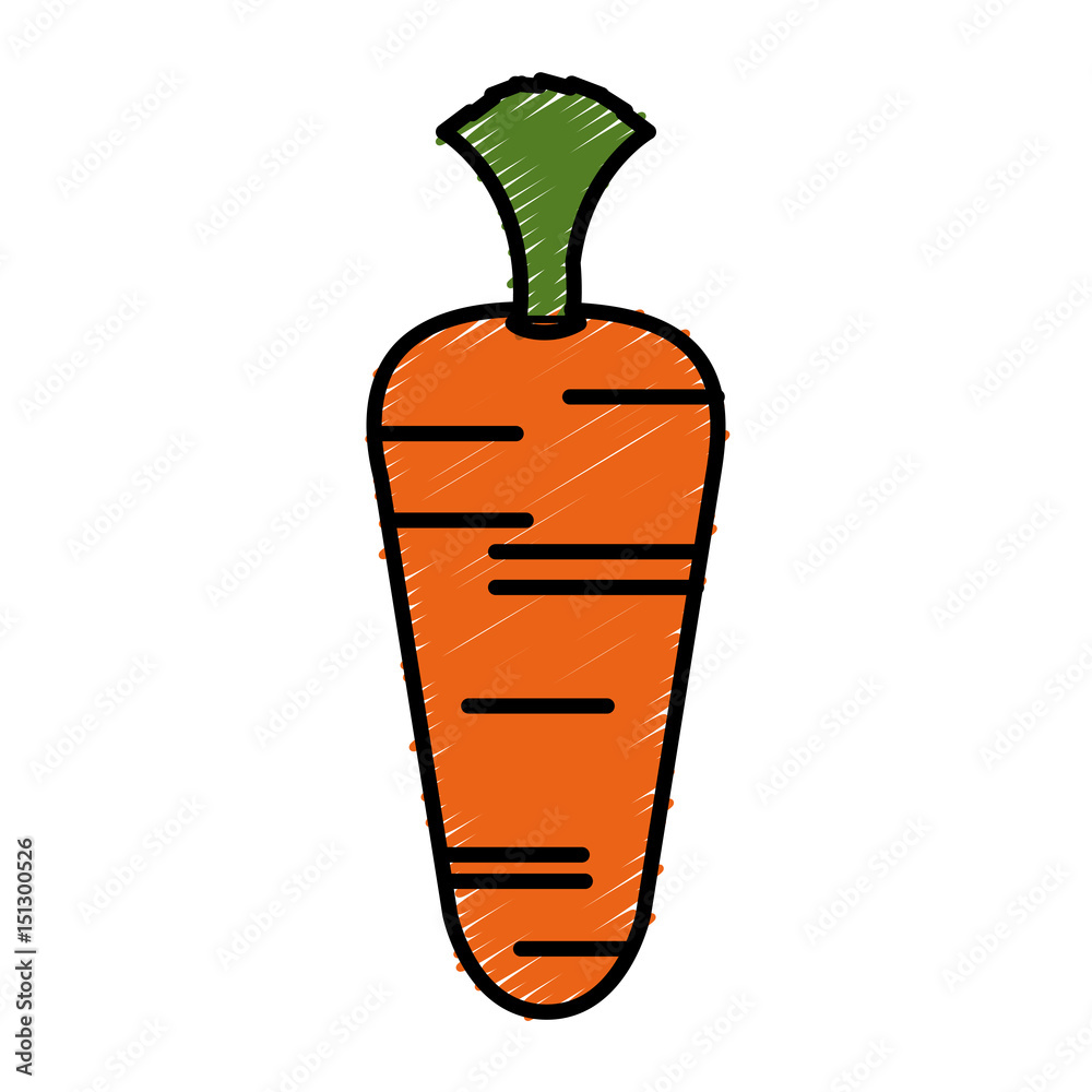 carrot vegetable healthy food vector illustration design carrot vegetable healthy food vector illustration design