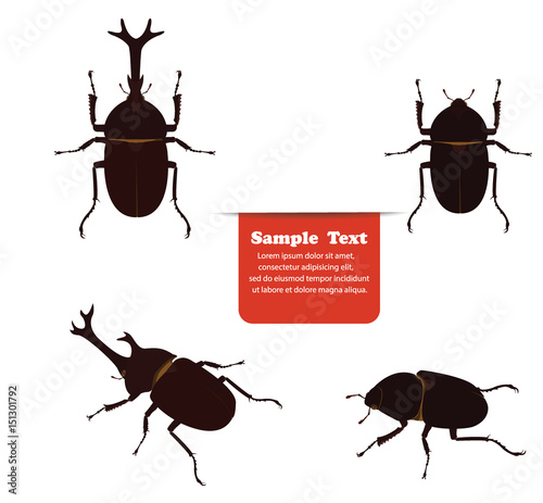 Mushiking beetle male and female. vector