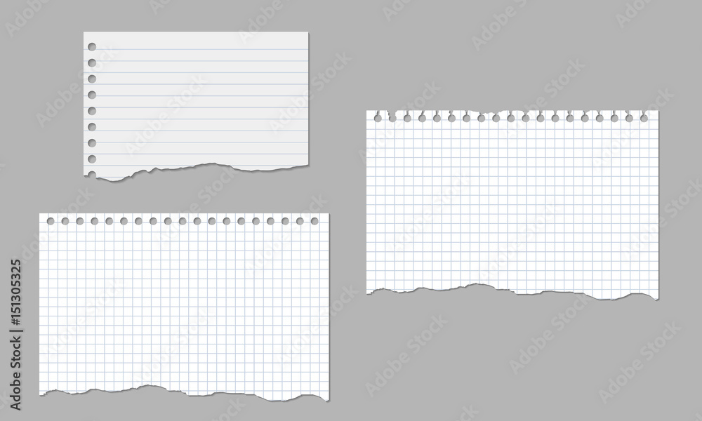 Set of realistic vector illustrations of torn sheets of lined and square paper isolated on a white background