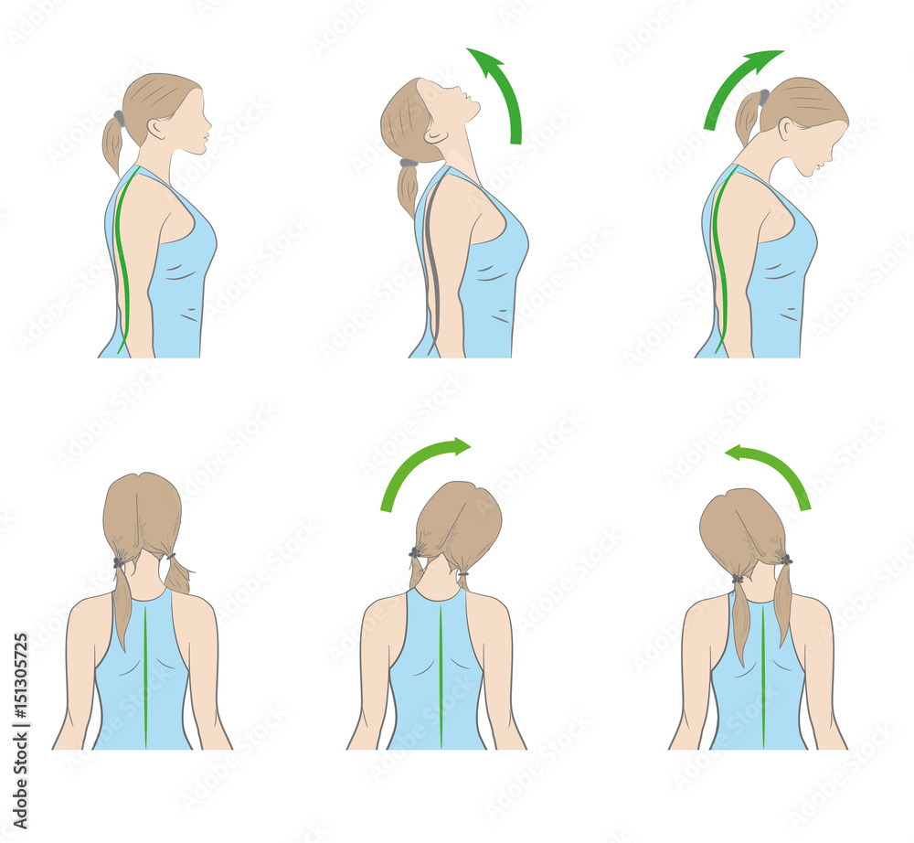 exercises for the neck and head. vector illustration exercises for the neck and head. vector illustration