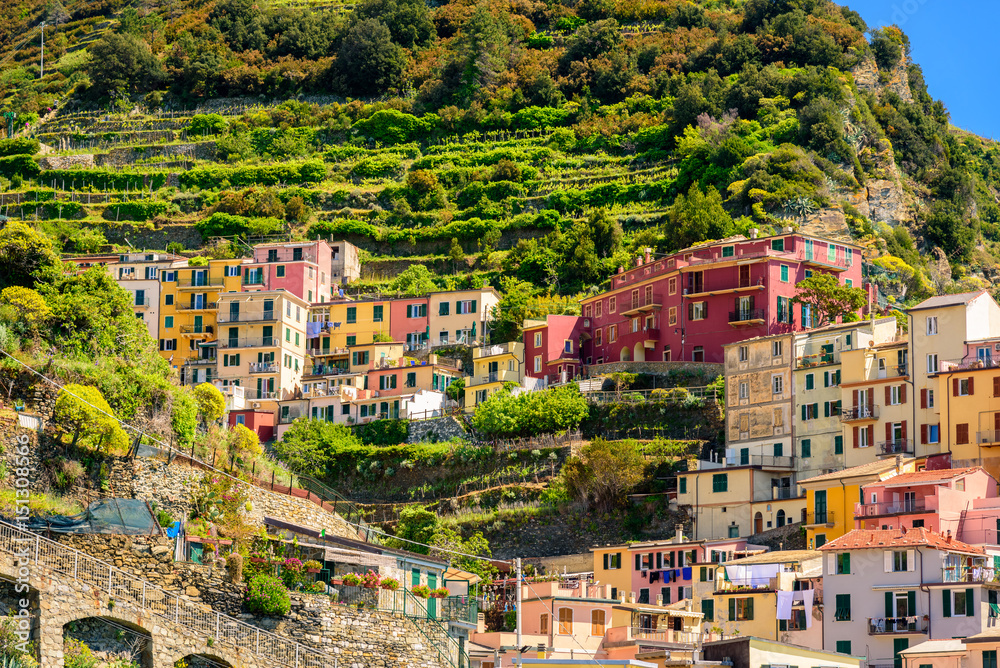 View of some houses of the famous town of Manarola inside the Cinque Terre National Park.