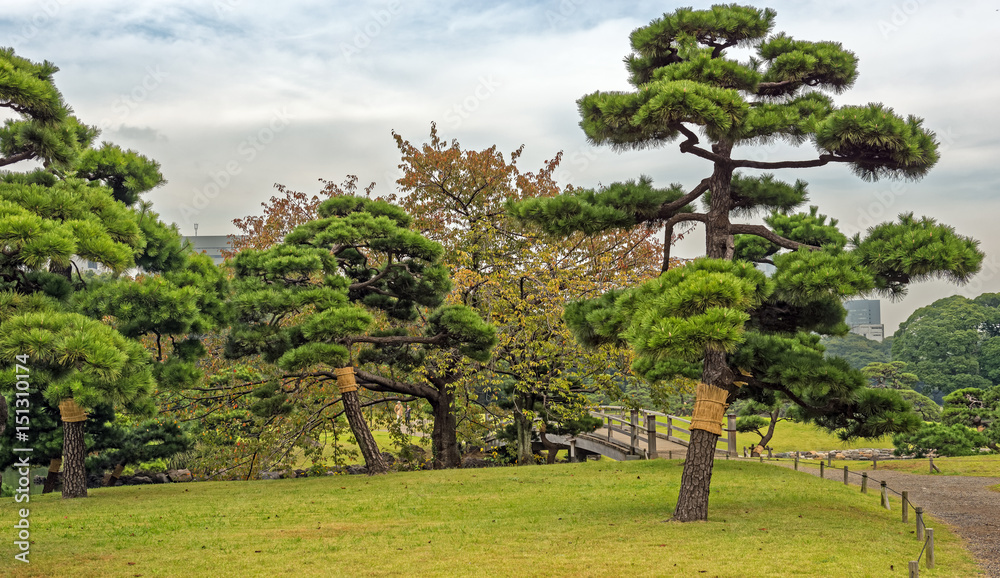 Φωτογραφία Hama-rikyu Japanese Garden, an oasis of peace in bustling central Tokyo, Japan