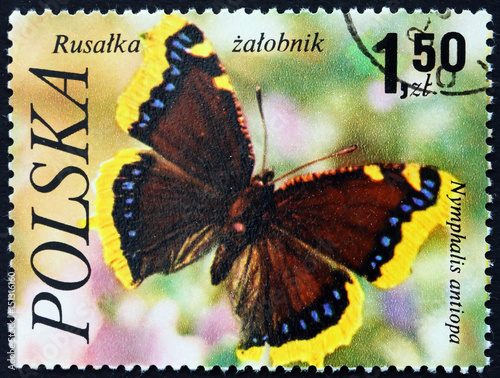 Postage stamp Poland 1977 Mourning Cloak, Butterfly photo