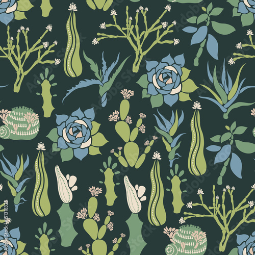 Mammillaria, Sempervivum, Euphorbia, Haworthia, Opuntia, Crassula, Aloe, Hatiora. Seamless pattern with a collection of succulents and cacti. Vector illustration.