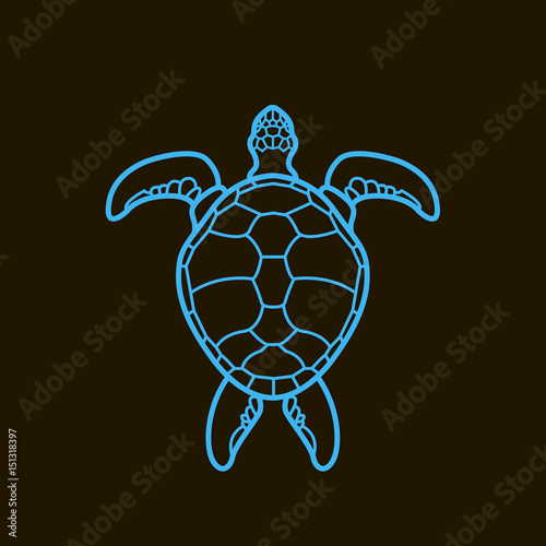 Cheloniidae. Turtle. Wildlife. Line. Symbol, icon, logo. Vector illustration.