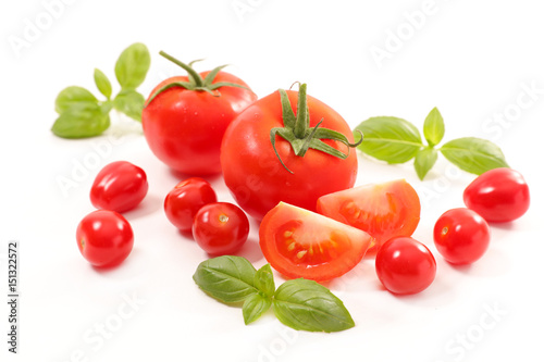 tomato and basil isolated on white