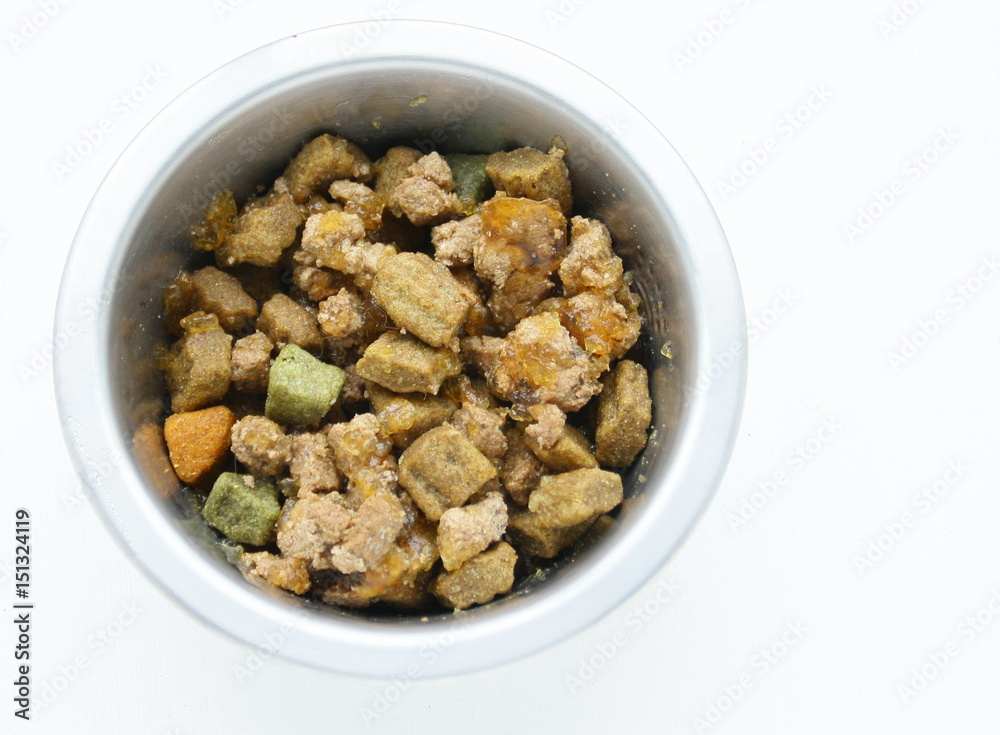 gamelle de croquettes et boulettes pour chien,isolé,fond blanc gamelle de croquettes et boulettes pour chien,isolé,fond blanc
