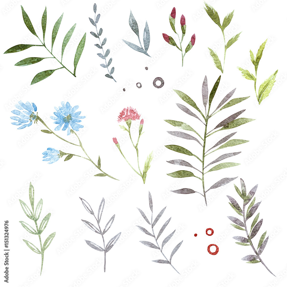 Hand drawn set of doodle flowers. Colorful summer floral elements. Hand drawn set of doodle flowers. Colorful summer floral elements.