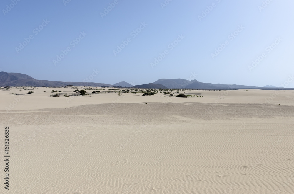 Sand dune in the Natural-park, Corralejo , Fuerteventura, Canary Islands, Spain