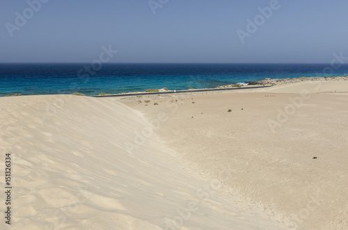Sand dune and beach in the Natural-park  Corralejo   Fuerteventura  Canary Islands  Spain