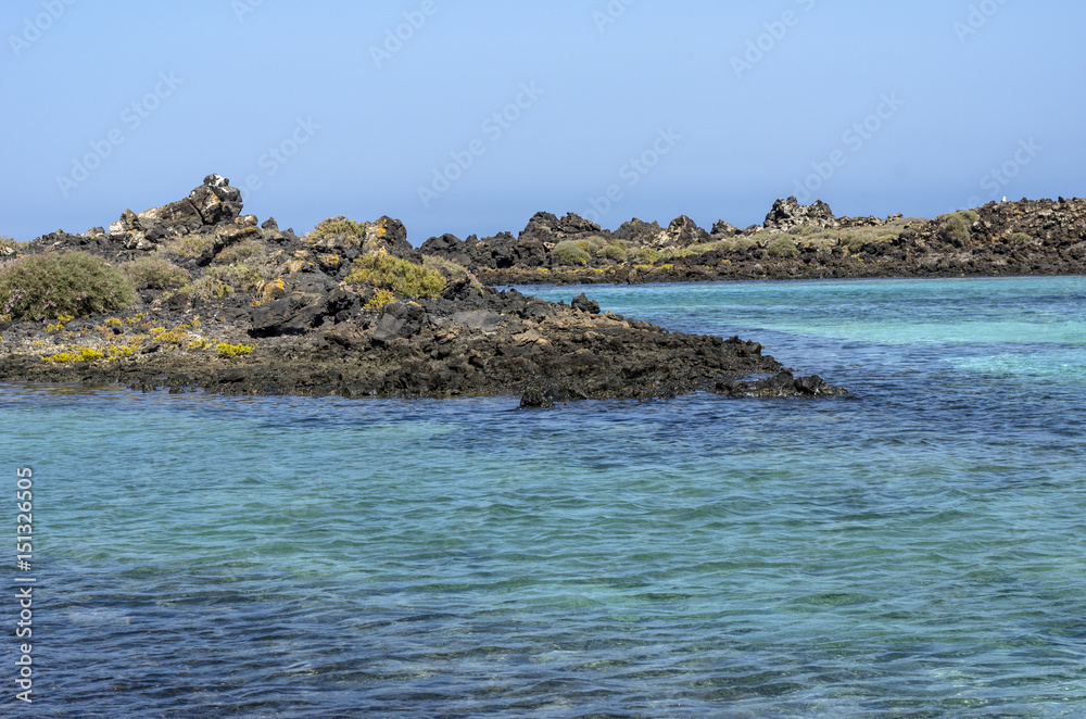 Flora of Lobos Island in Canary Islands, Spain