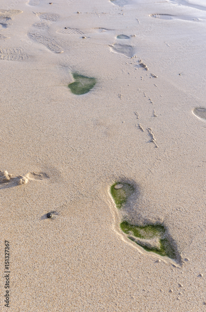 People leave tracks on sand beach El Cotillo, Fuerteventura, Canary Islands, Spain People leave tracks on sand beach El Cotillo, Fuerteventura, Canary Islands, Spain