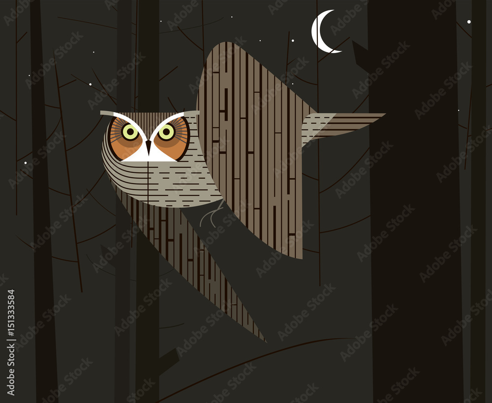 Fototapeta premium Owl hunts in the night forest