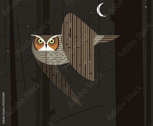 Owl hunts in the night forest