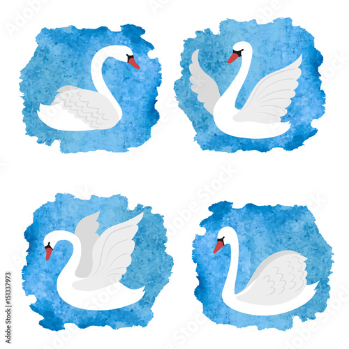 Set of white swans on blue watercolor splashes. Vector illustration.