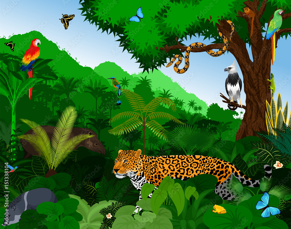 Rainforest with animals vector illustration. Vector Green Tropical